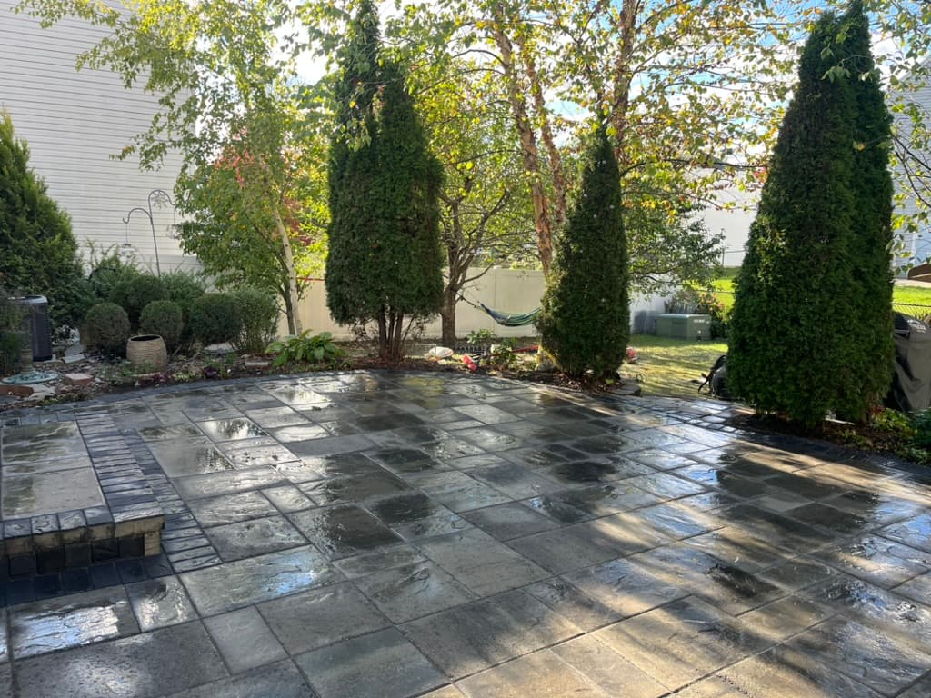 Freshly sealed patio pavers showcasing rich gray tones among lush landscaping